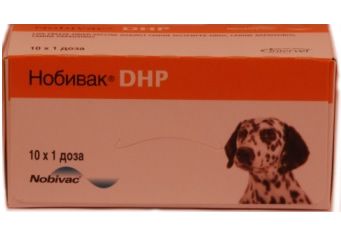  DHP (Nobivac DHP)