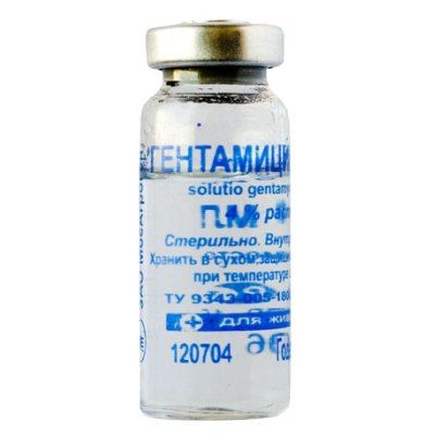гентамицин инструкция по применению в ветеринарии