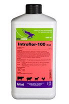 Introflor-100 Oral