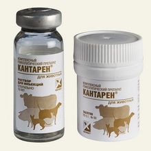 Кантарен Кантарен
