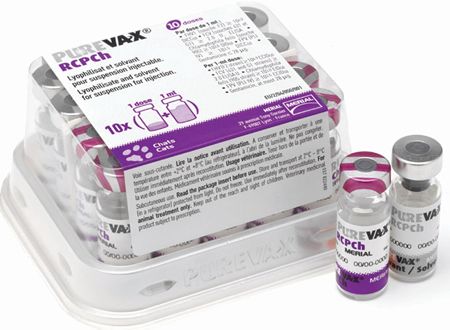  Purevax RCPCh