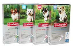 bayer advantix