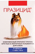  ( )
