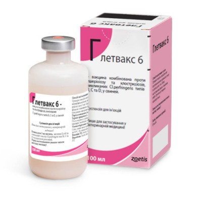  6 (Gletvax 6)