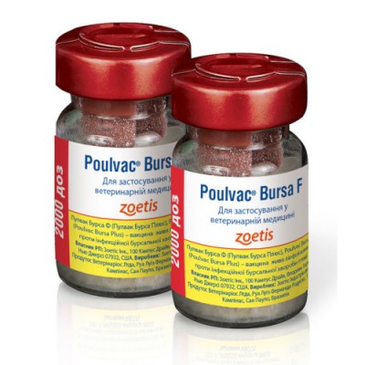    (Poulvac Bursa F)