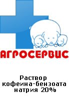 -  20%