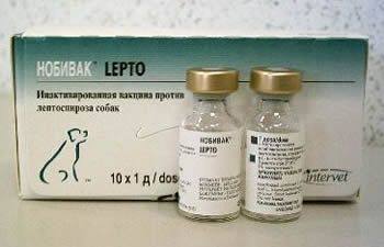  Lepto (Nobivac)