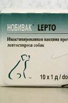  Lepto (Nobivac)