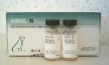  RL (Nobivac RL)