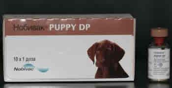  Puppy DP (Nobivac)