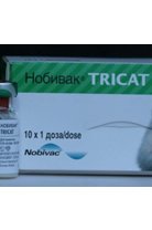  Tricat (Nobivac Tricat)
