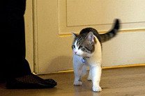 ������ ������� ����� � "�����������" ��������� ���� ����� ����