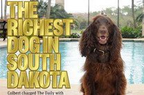 Журналисты "на слабо" нашли самую богатую собаку в Южной Дакоте