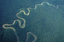 ������������� ������������ ����� ���� ��������������, ������� ������