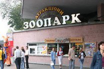 Прокуратура вплотную занялась Киевским зоопарком