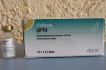 Вакцина Нобивак Lepto против лептоспироза собак в Торговый Дом - Агрофарм.