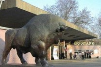 В Киевском зоопарке - еще одна смерть