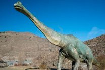 Ученые нашли останки антарктического динозавра