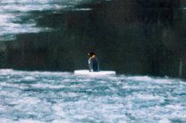 Немецкие спасатели вытащили из ледяной реки плюшевого пингвина