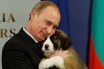 Путин подарил котенка японскому губернатору