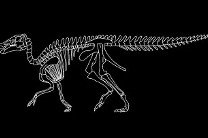 Утконосые динозавры умели пережевывать траву лучше лошадей - ученые