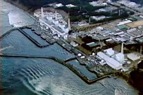 В пойманной у АЭС Фукусима рыбе обнаружен высокий уровень содержания цезия