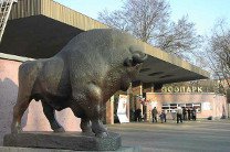 Киевский зоопарк ищет спонсоров для заботы о животных