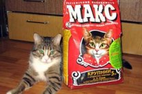 Кошачьи туалеты от МАКС. Выбор чистоплотных котов