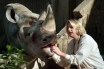 Носорог укусил посетительницу американского зоопарка