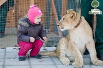 В экопарке под Харьковом детей будут лечить животные 