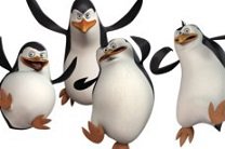 Щедрые пингвины: зоопарк возвращает деньги за абонементы
