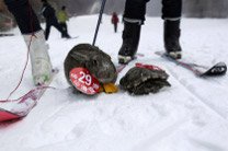 Черепаха одержала победу в звериных соревнованиях по катанию с горы 