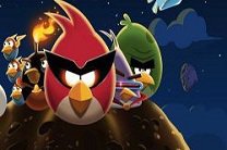 Операция "Angry Birds": в США освобождены 3000 петухов