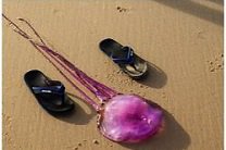В Австралии обнаружена уникальная медуза