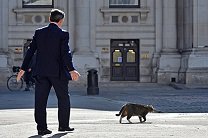 Пропавшую кошку британского министра финансов вернули с запиской