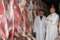 Получить международное ветеринарное свидетельство для экспорта мяса птицы в ЕС стало сложнее