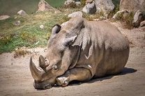 ���� ��������� ����� ��������� ������ ��������