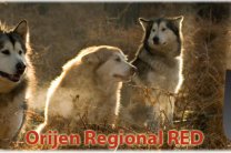   Animal Products Group - Orijen Regional Red