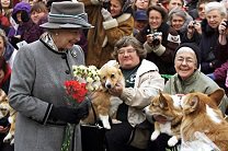 Елизавета II откажется от разведения собак