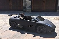  Диджей из Канады подарил своему коту Lamborghini 