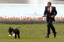 Обама определился со способом ношения штанов собаками