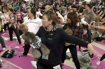 Любители йоги с собаками установили мировой рекорд во время флэшмоба