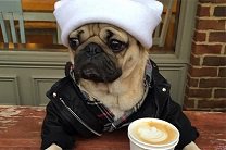 �������������� � ���� ���� �� ��� �������� �����