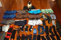 � ����� �������� ���������� �����-�������������� ������� ������