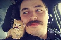 В США полицейский взял в напарники бездомного котенка