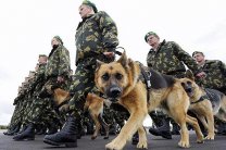 «PANCER PROTECTION» - армейское снаряжение по выгодным ценам