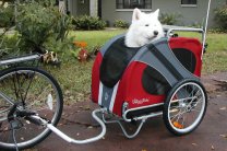 ����-���� ��� �������� � ��������� �� �����-����������