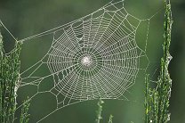 �������������� ����� ������� ���� ���������� ��������