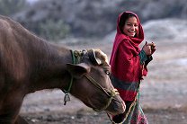 В Пакистане устроили конкурс красоты для буйволов