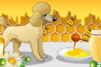 Який сорт меду корисніший?